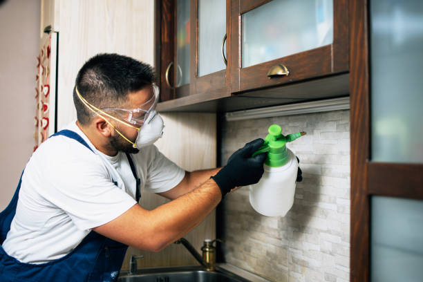 Best Commercial Pest Control Services  in San Juan, TX