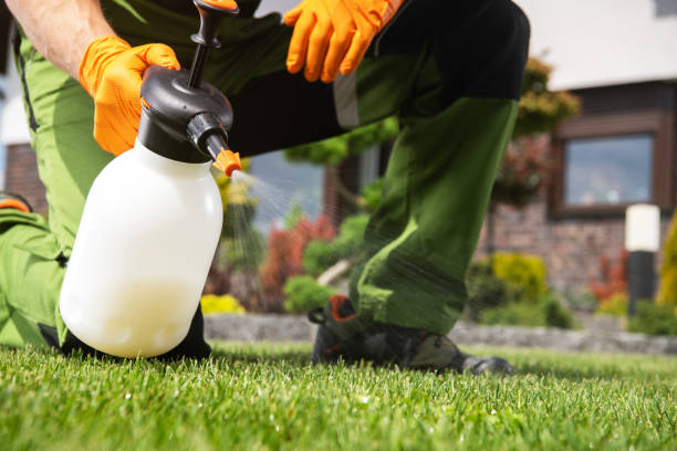Best Local Pest Control Services  in San Juan, TX