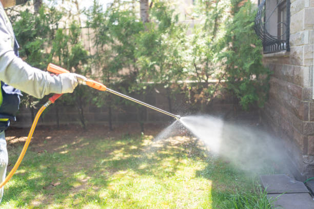 Best Best Pest Control Companies  in San Juan, TX