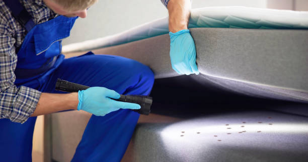Best Pest Control for Restaurants  in San Juan, TX