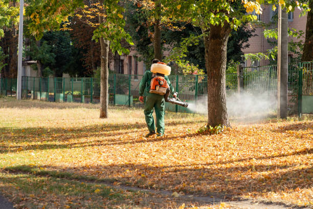 Pest Control for Restaurants in San Juan, TX