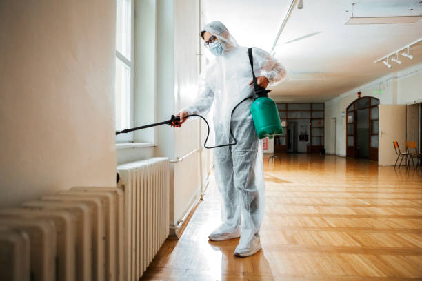 Wasp Removal Services in San Juan, TX